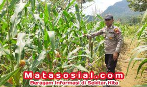 IMG-20250827-WA0009