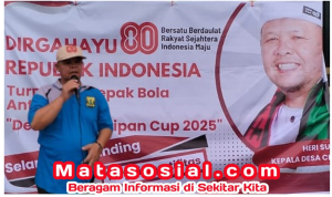 image (3)