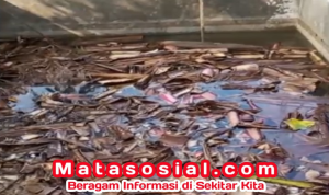 Tips Ajaib dari Raya Nur Aulia: Kolam Baru? Rendam Aja Batang Pisang, Biar Ikan Nggak Nangis!