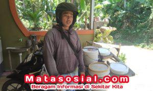 Ikan Laut Palabuhanratu-Cisolok Jadi Primadona: Segar, Gurih, dan Dicari Warga