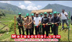 Bukit Hanjawong Resmi Dibuka: 10 Tahun Perjuangan Wujudkan Wisata Alam dan Budidaya Lebah Madu