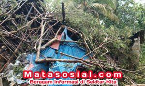 WhatsApp Image 2025-11-08 at 18.38.26