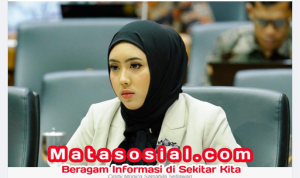 Cindy Monica: Dari Tambak Udang hingga Gedung Parlemen