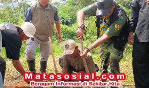 WhatsApp Image 2025-12-12 at 18.22.48 (1)