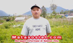 Petani Manggarai Panen Untung: Harga Wortel Naik 3 Kali Lipat Berkat MBG