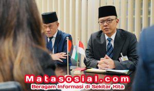 WhatsApp Image 2026-02-26 at 13.21.06