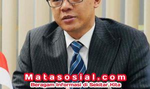 WhatsApp Image 2026-03-04 at 17.09.20