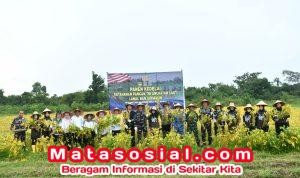 Pemprov Kalimantan Selatan Apresiasi Panen Kedelai Lanal Banjarmasin