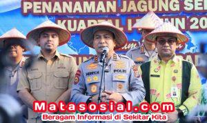 Anggota DPR RI Fraksiย Gerindra Muhammad Rahul Apresiasi Penanaman Jagung Serentak di Riau