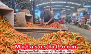 WhatsApp Image 2026-03-23 at 18.28.34