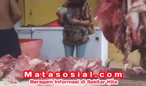 Stok Daging Aman, Ayam Potong Segar: Lebaran Jadi Meriah Tanpa Ribet Dapur