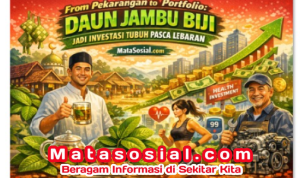 Daun Jambu Biji: Oli Sehat, Pajak Penyakit Turun, Sukabumi Mubarokah Liburan Lebaran Makin Berkah!