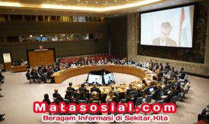 WhatsApp Image 2026-04-01 at 19.24.34