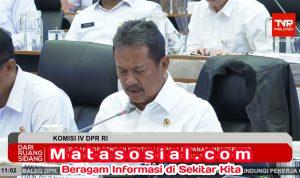 Capai 6,27 Miliar Dolar AS Tahun 2025, Ekspor Produk Perikanan RI Meroket