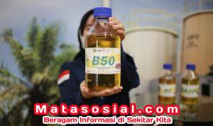 WhatsApp Image 2026-04-07 at 18.15.12