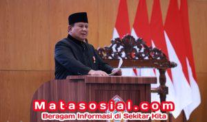 WhatsApp Image 2026-04-11 at 18.20.44