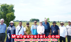 Kementan: Irigasi Rawa Diperkuat Lewat Kolaborasi Indonesia–Australia