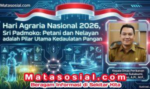 image (32)