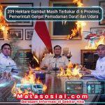 209 Hektare Gambut Masih Terbakar di 6 Provinsi, Pemerintah Genjot Pemadaman Darat dan Udara